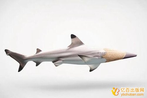 转让的实用新型专利评职称能用吗