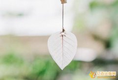 著作发表与著作出版区别