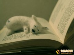 专著中可以引用别人的全文吗