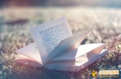 文学专著最多可以有几个作者