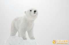 初中英语教师评职称著作署名第几给加分