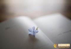 评正高级教师专著出版需要多长时间