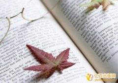 第一作者和独著的区别