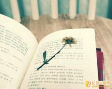 怎么能独著形式出版