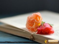 申请书号出版著作好弄吗