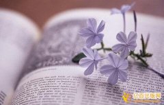 独著与合著哪个好