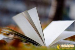 论著的字数要求多少