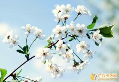 高校评职称出书需要注意哪些问题		