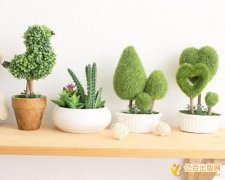 编写教材的费用包括哪些