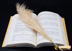 出版社出版专著用什么字号和字体