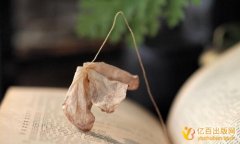 评高校讲师专著有用吗