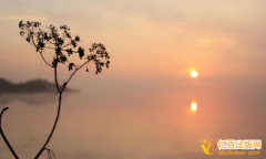 山东省出版社有哪些