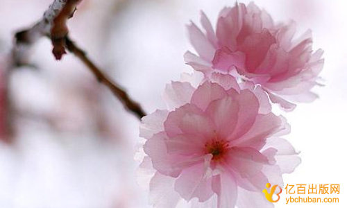 专利申请时间以及资料准备要求