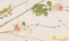 出版学术著作可以有两位作者吗