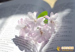 译著可以用来评高级会计师职称吗