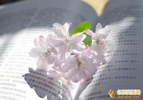 译著可以用来评高级会计师职称吗
