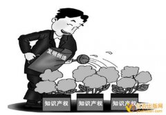 个人申请专利如何获得资助