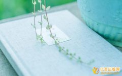 软著加急费用大概是多少