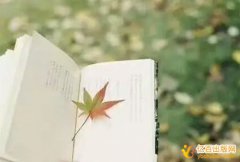 著作评职称算字数还是字符