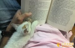 无效宣告程序中同样发明如何处理